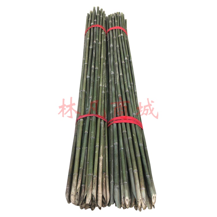 诺化小竹子细竹竿子旗竹杆竹杆子 2厘米粗2米长30根