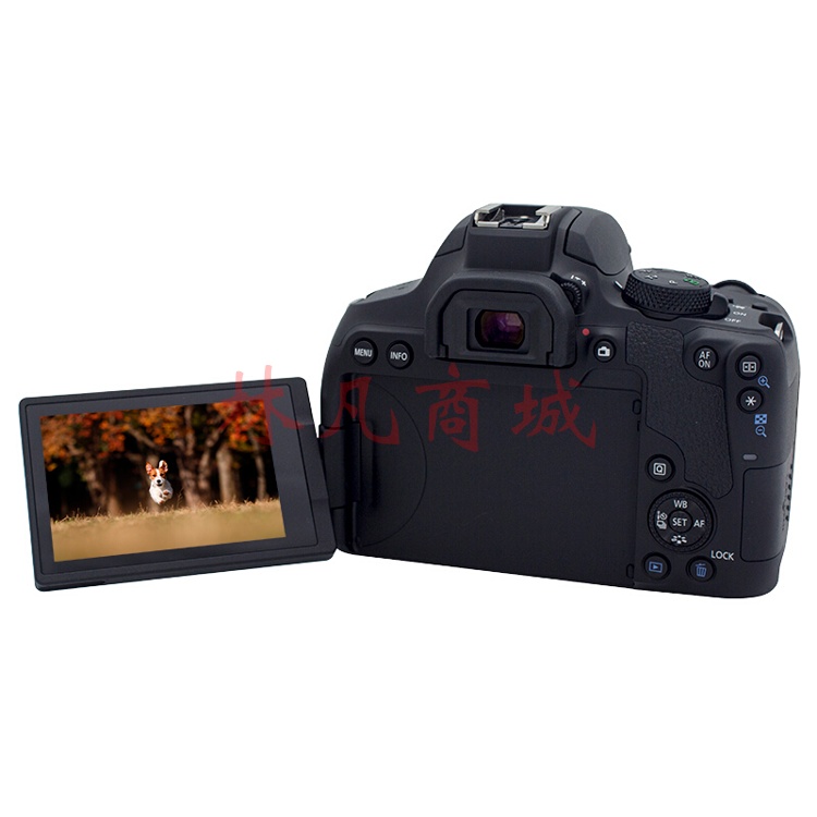 佳能（Canon） EOS850D单反数码照相机高清vlog入门级视频直播高清相机 【EOS 850D】(18-55mm)套机旅行版