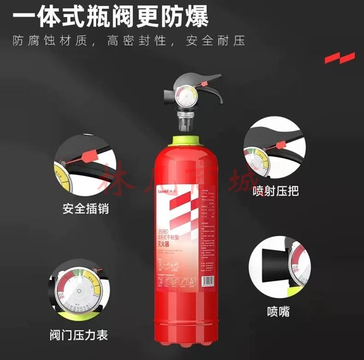 援邦 车载灭火器 干粉999g